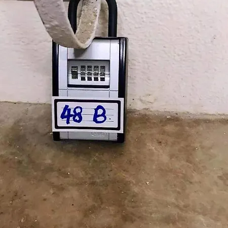 轻奢庭院豪华海景套房 *